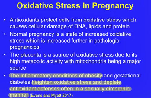 Oxidative Stress in Pregnancy.