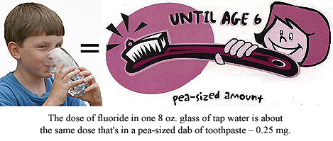 Equivalent 0.25 mg doses of fluoride in 8 ounces of tap water and a dab of toothpaste.